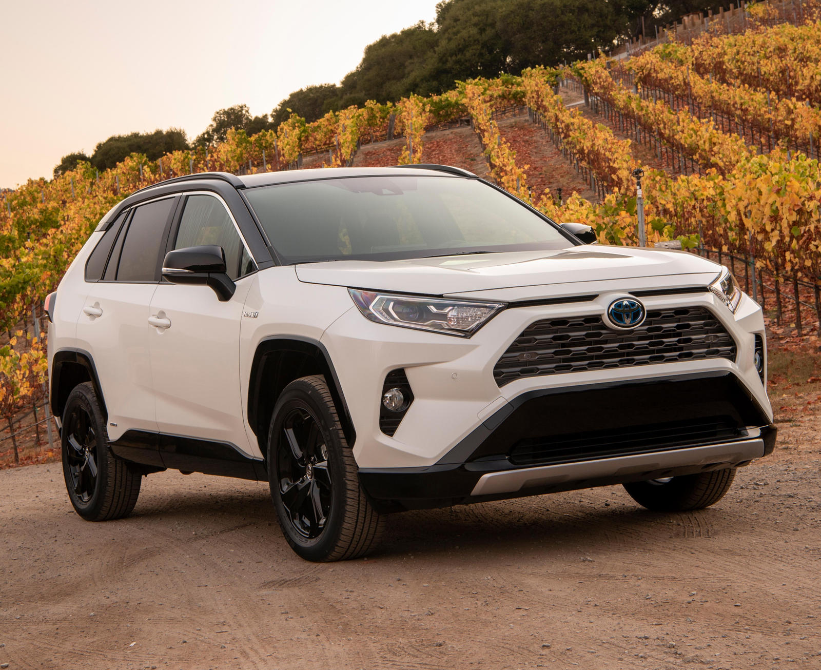 Toyota RAV4 side view